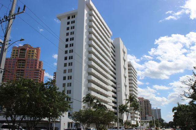 White Egret  photo 2